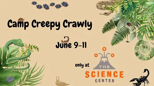 June 9th - 11th 2025 Camp Creepy Crawly